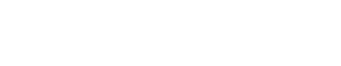 Ser vista como solução na logística de produtos siderúrgicos, com eficiência, segurança e sinergia. 